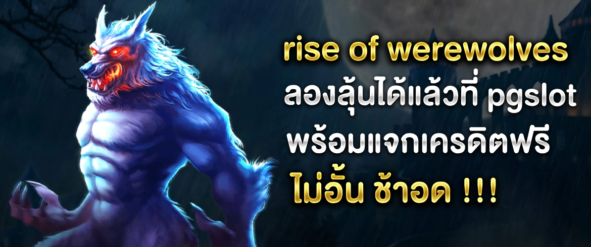 บทความ